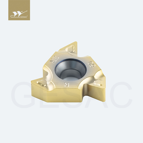 22ERN60-TC-GM3325 Пластина резьбовая GESAC