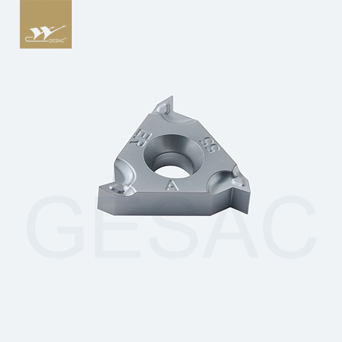 16ERA55-TC-GM3225 Пластина резьбовая GESAC