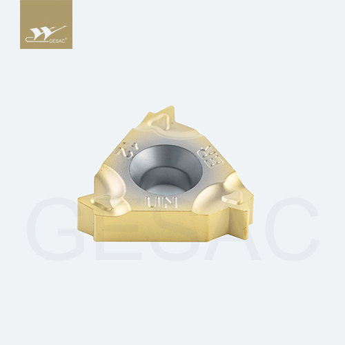 16ER8UN-TC-GM3325 Пластина резьбовая GESAC