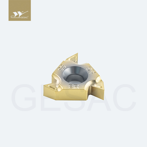 22ERN55-TC-GM3325 Пластина резьбовая GESAC