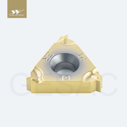 16ER19BSPT-TC-GM3325 Пластина резьбовая GESAC
