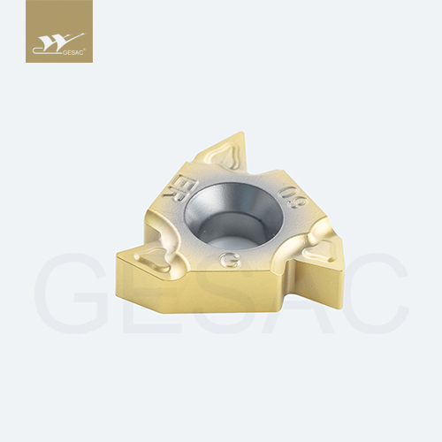 16ERG60-TC-GM3325 Пластина резьбовая GESAC