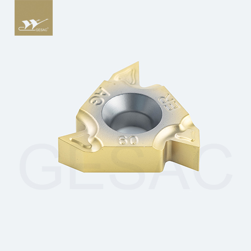 16ERAG60-TC-GM3325 Пластина резьбовая GESAC