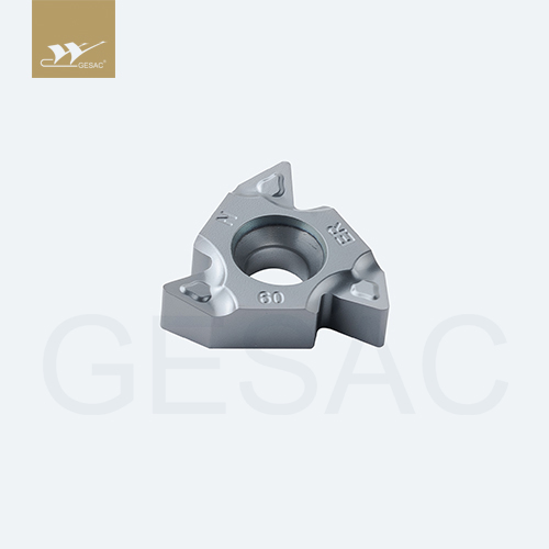 22ERN60-TC-GM3225 Пластина резьбовая GESAC