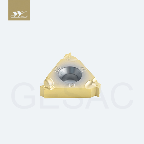 16ER19W-TC-GM3325 Пластина резьбовая GESAC