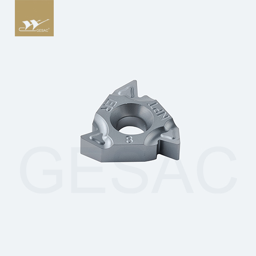 16ER8RD-TC-GM3225 Пластина резьбовая GESAC