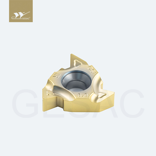 22IR6.00ISO-TC-GM3325 Пластина резьбовая GESAC