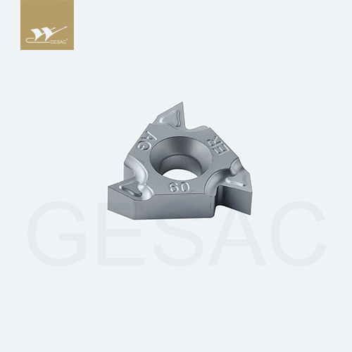 16ERAG60-TC-GM3225 Пластина резьбовая GESAC
