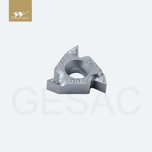 16ERG55-TC-GM3225 Пластина резьбовая GESAC
